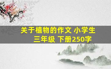 关于植物的作文 小学生 三年级 下册250字